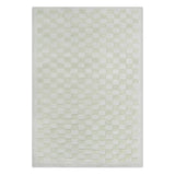 Checkers Rug x Scott Sueme, 5x7, Aloe