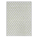 Checkers Rug x Scott Sueme, 8x10, Aloe