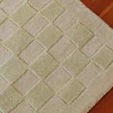 Checkers Rug x Scott Sueme, 8x10, Aloe