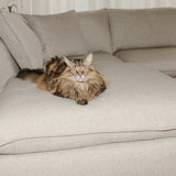 Chill Time 4-Piece Modular Sectional Closed, Heather