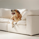 Movie Night™ 2-Piece Modular Sofa, Standard, Cream Linen
