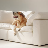 Movie Night™ 2-Piece Modular Sofa, Large, Champagne
