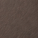 Swatch Cognac, Leather