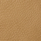 Swatch-Camel
