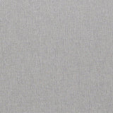 Swatch Silver