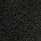 Swatch Black